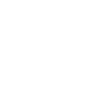 Icone_Site_Survey