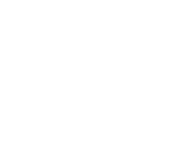 Logo_Altai