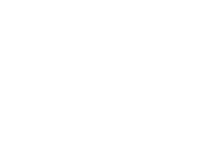 RAM Mounts - Spencer