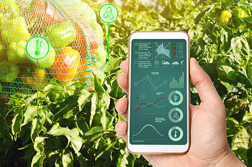 solucoes tecnologicas para o agronegocio