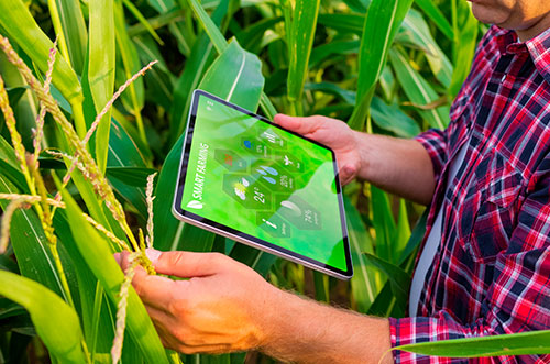 solucoes tecnologicas para o agronegocio