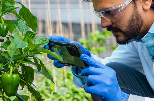 solucoes tecnologicas para o agronegocio